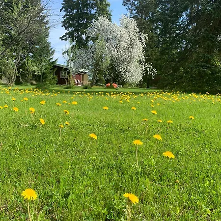 Maison d'hôtes Sonnilla *